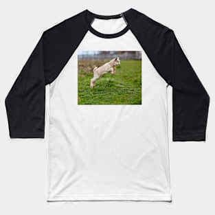 Baby goat jumping Baseball T-Shirt